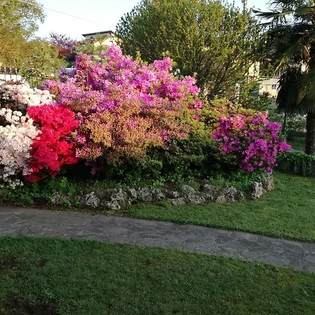Villarosybeb Πανσιόν